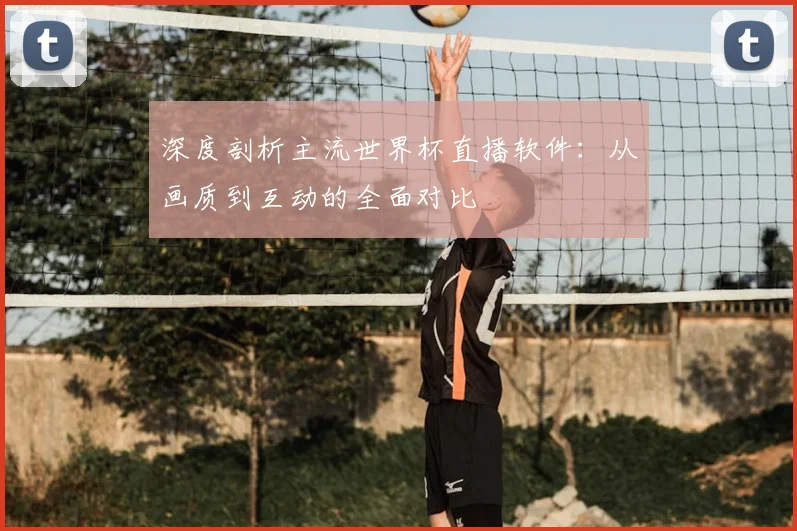 深度剖析主流世界杯直播软件：从画质到互动的全面对比